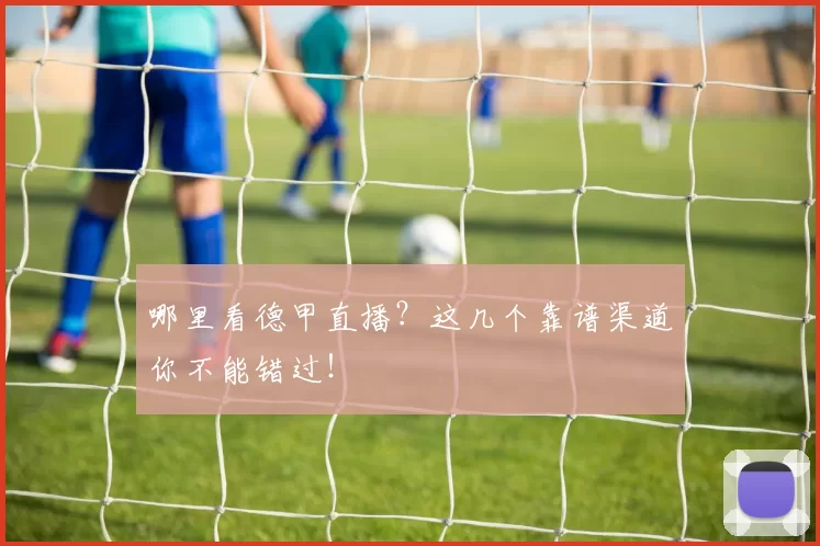 哪里看德甲直播？这几个靠谱渠道你不能错过！