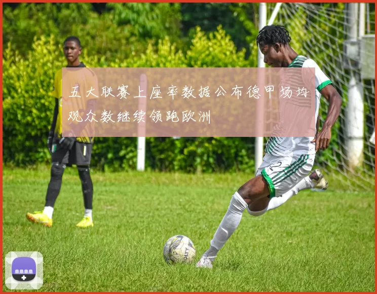 五大联赛上座率数据公布德甲场均观众数继续领跑欧洲