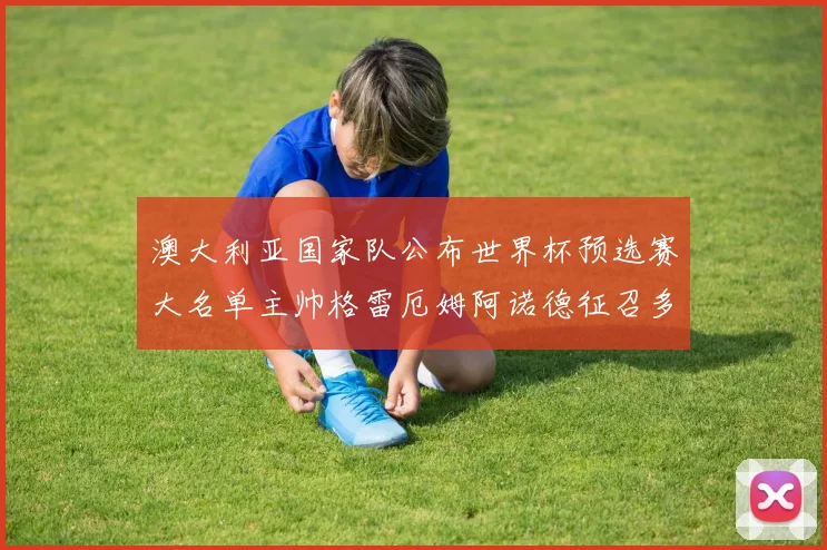 澳大利亚国家队公布世界杯预选赛大名单主帅格雷厄姆阿诺德征召多名海外球员
