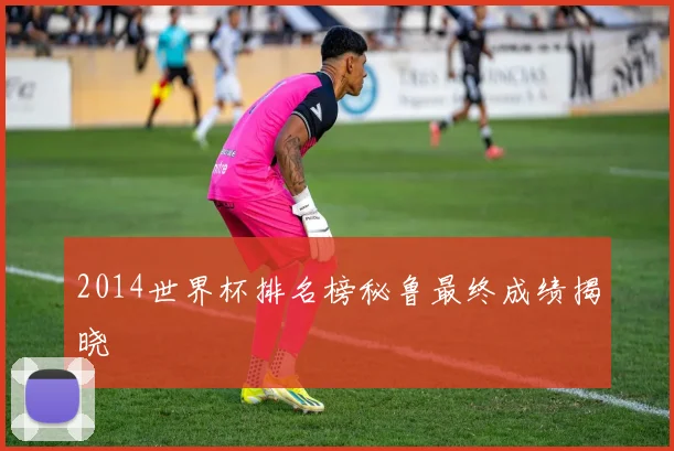 2014世界杯排名榜秘鲁最终成绩揭晓