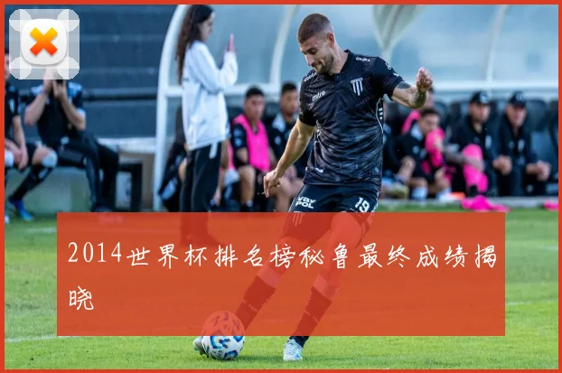 2014世界杯排名榜秘鲁最终成绩揭晓