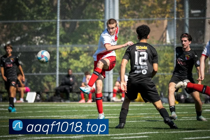 开云「中国」Kaiyun·官方网站 - 国内一流技术服务商APP 封面图